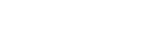 a p Services